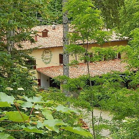 Agriturismo Fonte Magria Abbadia San Salvator Buitenkant foto