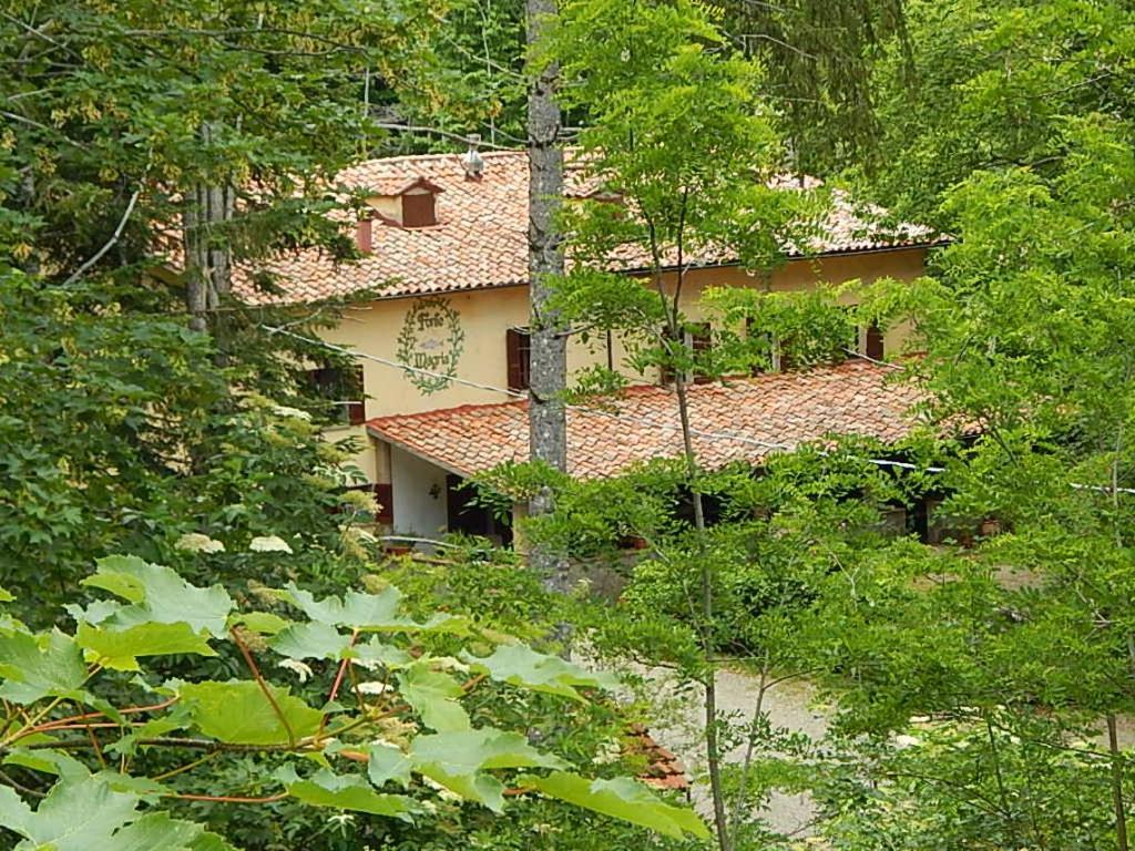Agriturismo Fonte Magria Abbadia San Salvator Buitenkant foto