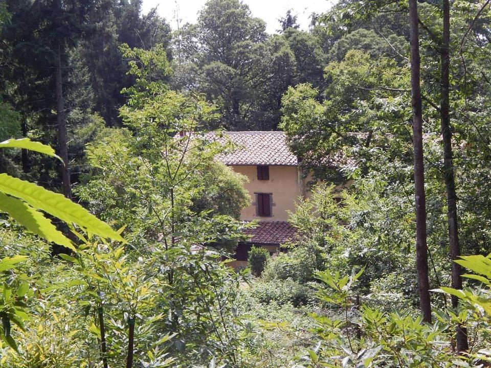 Agriturismo Fonte Magria Abbadia San Salvator Buitenkant foto